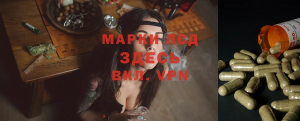 не бодяженный Аркадак
