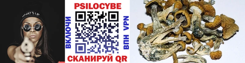 Галлюциногенные грибы Cubensis Пустошка